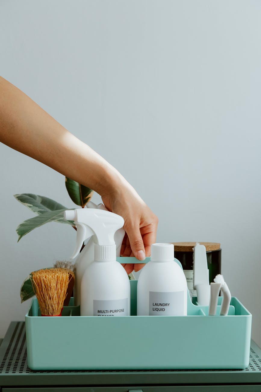 Lifestyle products at NexCartify